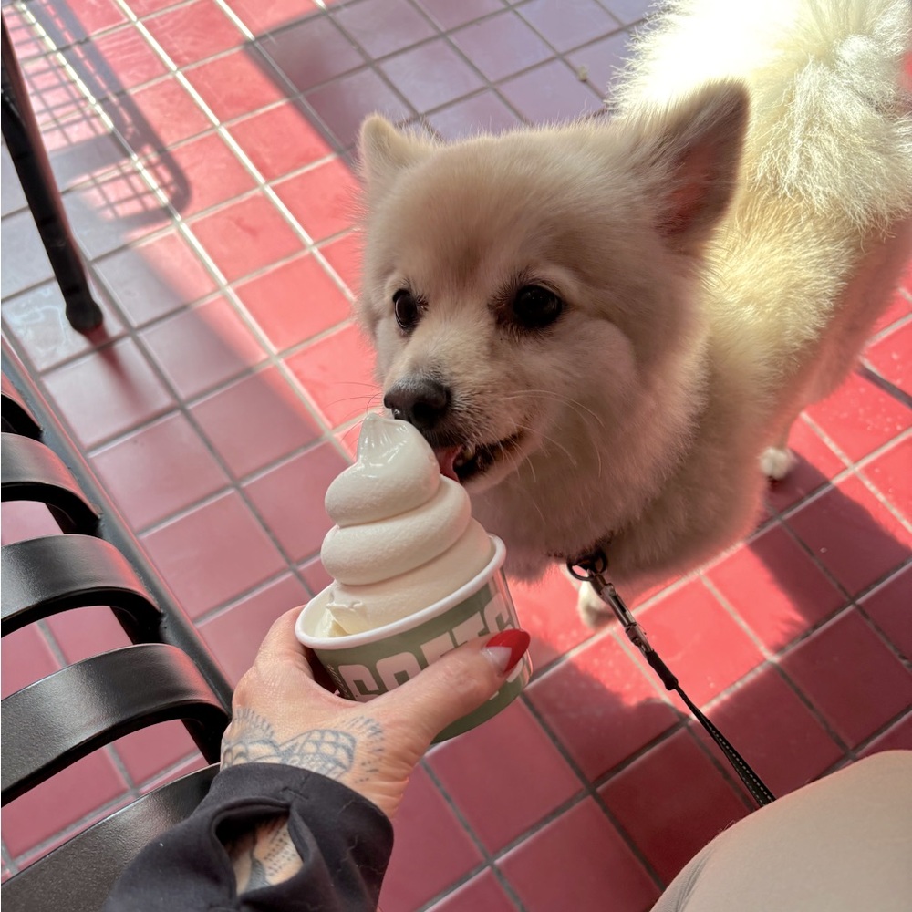 🚚🚚MOVING SALE!✈️✈️ we welcome offers!!